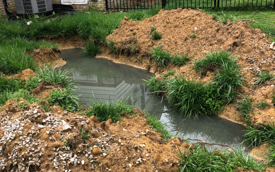 Septic Tank System Issues
